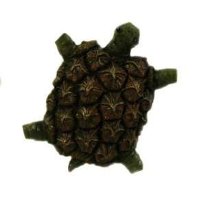  Enesco Home Grown Pineapple Turtle Fridge Magnet 