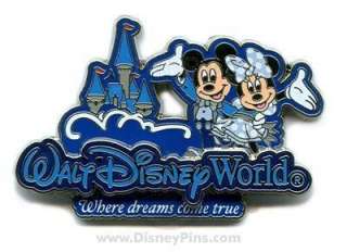 remember your visit to the walt disney world resort the place