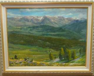 Don Ricks Original Oil Painting  Montana Mountain Country  Crazy 