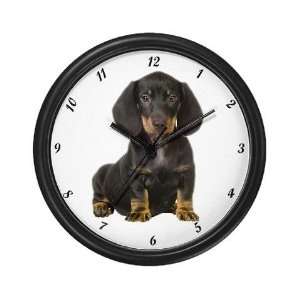 Dachshund puppy Portrait Dachshund Wall Clock by  