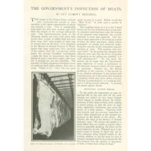   1908 Bureau Animal Inspection Government Meat Testing 