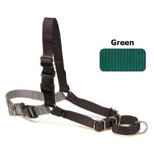  Easy Walk Dog Harness   Green/Black