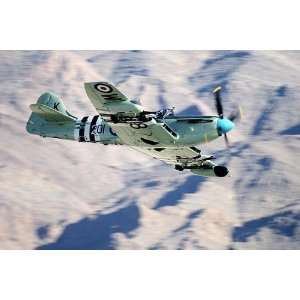  British WWII Fairey Firefly Aircraft 8x12 Silver Halide 
