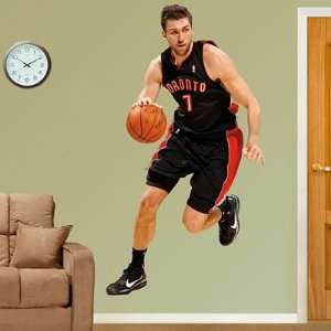  Andrea Bargnani Fathead Wall Graphic