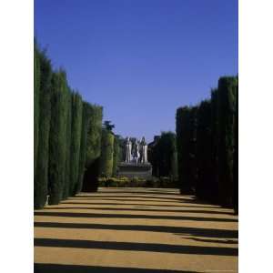  Gardens of the Alcazar of Catholic Kings in Cordoba, Cordoba, Spain 