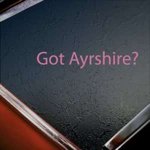  Got Ayrshire? Pink Decal Beef Cattle Cow Breed Car Pink 