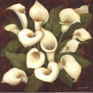  Callas In Bloom by Annie Lapoint 8x8