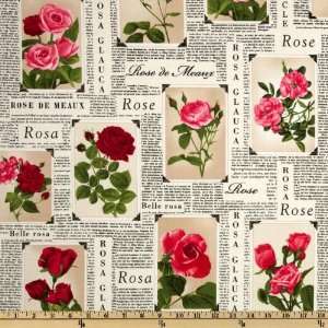   Wide Timeless Treasures Romantic Rose Frames Cream Fabric By The Yard