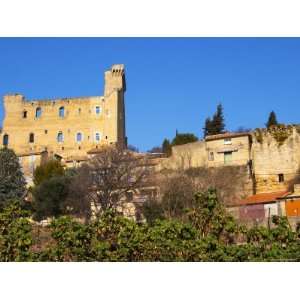  Ruins of the Popes Summer Castle in Chateauneuf Du Pape, Vaucluse 