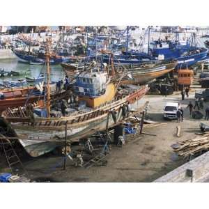  in the Fishing Harbour, Essaouira, Morocco, North Africa, Africa 