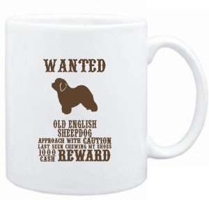   Old English Sheepdog   $1000 Cash Reward  Dogs
