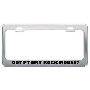 Got Pygmy Rock Mouse? Animals Pets Metal License Plate Frame Holder 