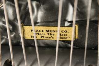 1953 Valco ALKIRE EHARP 10 string lap STEEL guitar PEARLOID  