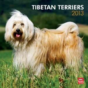  Tibetan Terriers 2013 Wall Calendar 12 X 12 Office 