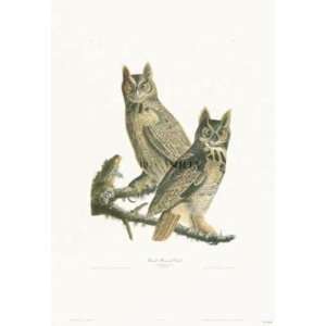  Great Horned Owl    Print