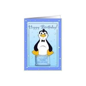   30th Birthday   Penguin on Ice Cool Birthday Facts Card Toys & Games