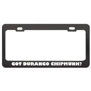 Got Durango Chipmunk? Animals Pets Black Metal License Plate Frame 