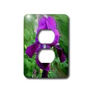  Flowers   Purple Iris   Light Switch Covers   2 plug 