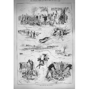 1884 Eton Beagles Hunting Rabbits Huntsman Sport 