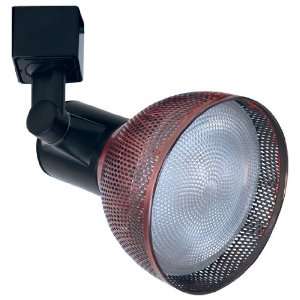   Track Heads 75W Line Voltage PAR30 with Mesh Shade