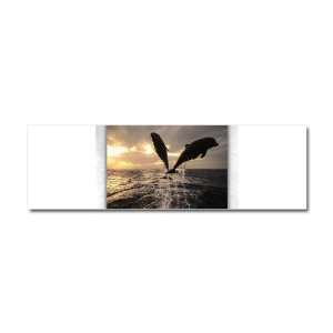  Car Magnet 10 x 3 Dolphins Flying in Sunset Everything 
