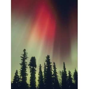  Aurora Borealis, Fairbanks Area, Alaska, USA Stretched 