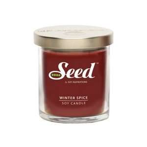  Seed, Winter Spice Soy Candle, 4.5 Oz  Health & Personal 