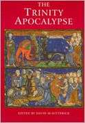 The Trinity Apocalypse, (0802048935), David McKittrick, Textbooks 