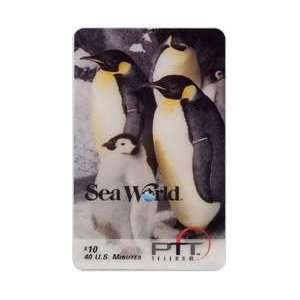   Phone Card $10.00 Sea World Penguins SPECIMEN 