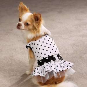  Dog Dress   Contrasting Dots Dog Sundress   XX Small (XXS 