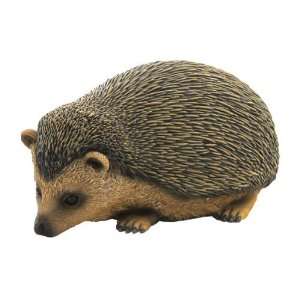  Baby Hedgehog Sculpture Baby