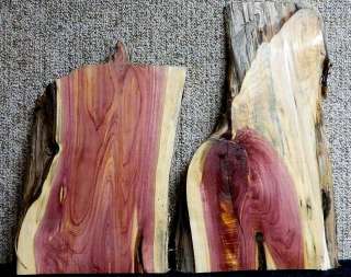 Pair of 2   Aromatic Red Cedar Taxidermy Mount Lumber Slabs 5130 5131 