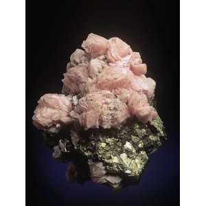 Rhodochrosite crystals (MnCO3) on Pyrite, an ore of Manganese, Peru 