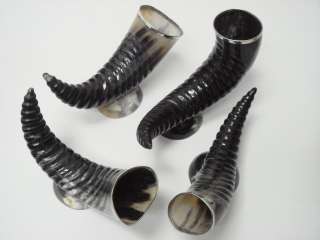POLISHED HOLLOW WATER BUFFALO HORN WITH STAND 4 PCS #8023  