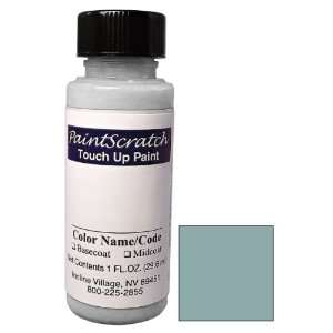  Touch Up Paint for 2011 Nissan Titan (color code B30) and Clearcoat