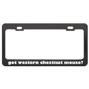   Mouse? Animals Pets Black Metal License Plate Frame Holder Border Tag