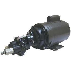  Dayton 4KHE8 Rotary Gear Pump, Cast Iron, 2 HP, 1 Ph 