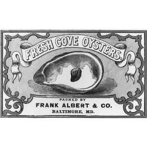   cove oysters Label, Frank Albert & Co., Baltimore
