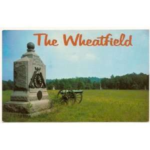   Wheatfield Gettysburg Pennsylvania Civil War Postcard 