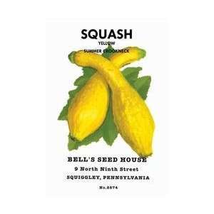  Squash Yellow Summer Crookneck 12x18 Giclee on canvas 