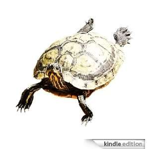 Green Turtle   Animal Kingdom App Book Shop  Kindle Store