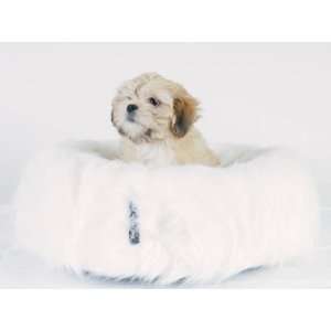  Chic Paws Heavenly Fake Fur Bed