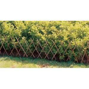  Expandable Willow Edging   72 X 24 Patio, Lawn & Garden