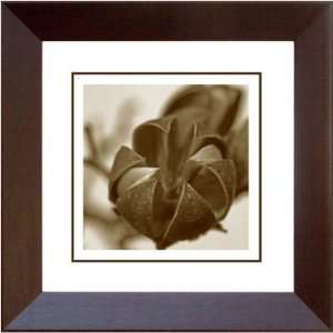 Phoenix Galleries HP265AW Crepe Myrtle On White Single Framed 