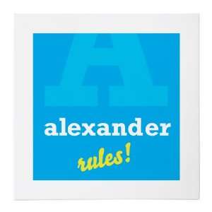  Alexander Rules 20x20 Gallery Wrapped Canvas Baby