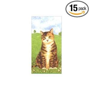  Boston International Cat 4 ply Pocket Tissues, 10 Count 