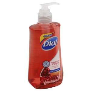 Dial Hand Soap, Antibacterial, Pomegranate & Tangerine 9 