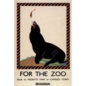  SEAL MARINE MAMMALS FISH FOR THE ZOO VINTAGE POSTER CANVAS 