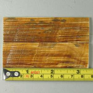 Fossil Bark Knife Scales Handles 3 5/16x 1x 3/16 K3013  