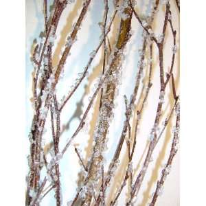  Ice Crystal Birch Branches